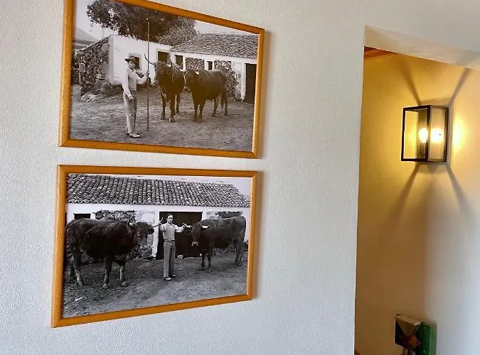 Casa Do Avô José Alves Praia da Vitória