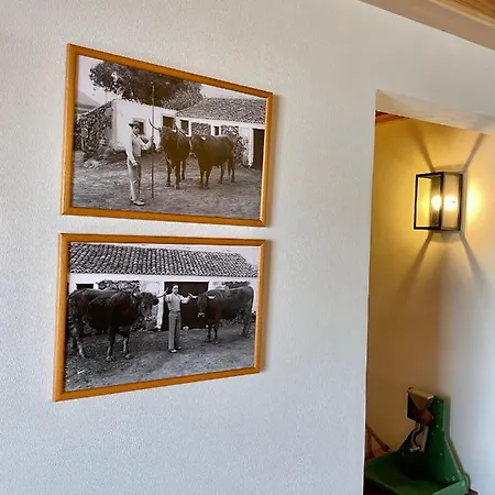 Casa Do Avô José Alves Praia da Vitória